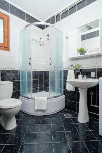 a bathroom with a shower and a toilet and a sink at Villa Olga in Radanovići