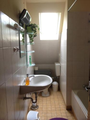a bathroom with a sink and a toilet and a window at Haus Rübezahl in Helminghausen