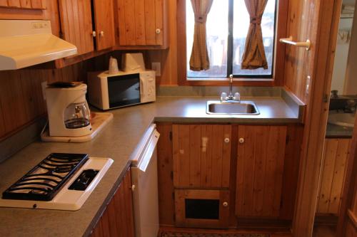Кухня или мини-кухня в Lake View Lodge

