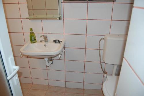 a bathroom with a sink and a toilet at Casa cu Castan in Eforie Nord