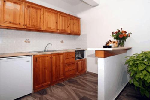 a kitchen with wooden cabinets and a sink at Nautilus Apartments in Sissi