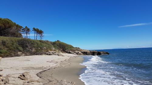 Photo de la galerie de l'établissement Les Hauts du Maquis ***, à Linguizzetta