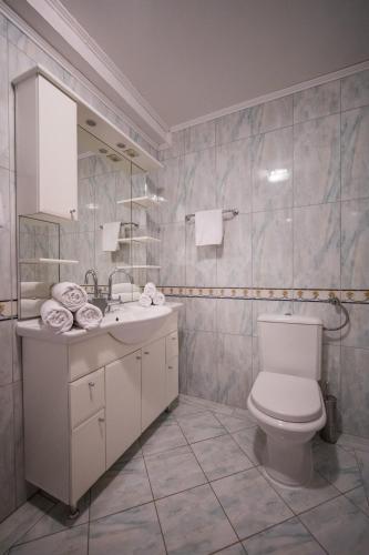 a bathroom with a toilet and a sink at Villa Dard in Dubrovnik