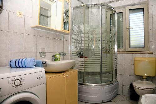y baño con ducha, lavabo y lavadora. en Apartments Tonia br. 1 en Zavalatica