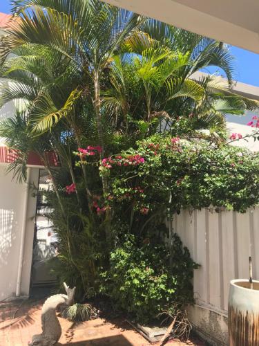 a palm tree in front of a fence with flowers at Oceanpride Complex in Flic-en-Flac