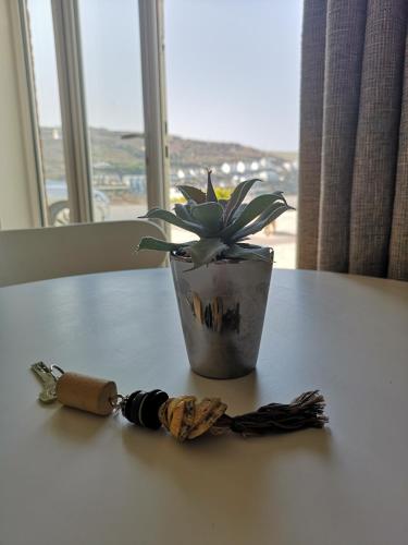 a potted plant sitting on a table next to a vase at The Haven in Portreath