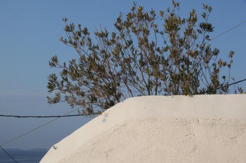 Gallery image of Alkioni stone house in Hydra