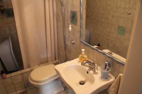 a bathroom with a toilet and a sink at Alkioni stone house in Hydra