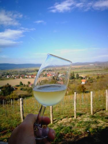a person holding a glass of white wine at Itt és Most - Szent György-hegy in Raposka