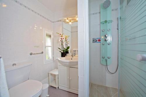 y baño con ducha, aseo y lavamanos. en Logis Hôtel Le Cygne, en Le Bugue