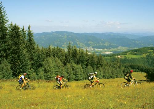 a group of people riding bikes in a field at Bed & Breakfast Reaktiv in Zreče