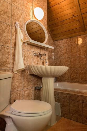a bathroom with a sink and a toilet and a mirror at Florile Bucegilor in Sinaia