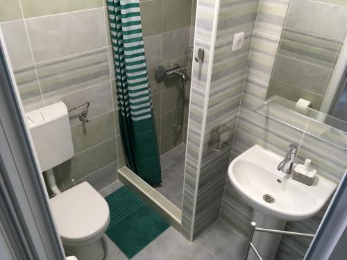 a bathroom with a toilet and a sink and a shower at Fruška Gora Guesthouse in Irig