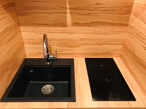 een aanrecht in een tiny house met houten wanden bij Feel@Home Nemausus « Le 42 » in Nîmes