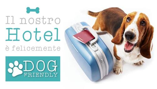a brown and white dog sitting on top of a suitcase at Hotel City in Montesilvano