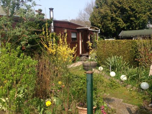 a garden in front of a house at Houten chalet in Oostvoorne