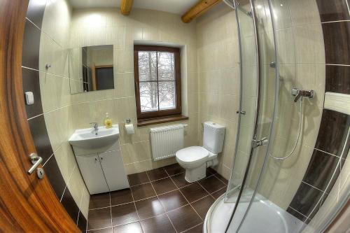 a bathroom with a toilet and a sink and a shower at Penzion Studánka, Klíny in Klíny