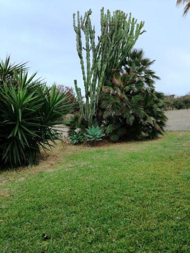 Villa Rossella Vendicari – Photos 4
