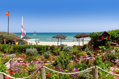 a garden with flowers and umbrellas on a beach at TUI MAGIC LIFE Africana in Hammamet