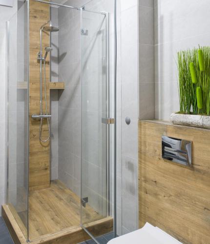 a shower with a glass door in a bathroom at Go2Krynica - Cicha in Krynica Zdrój