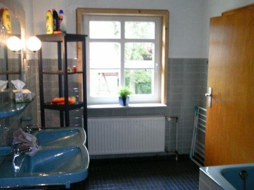 een badkamer met een wastafel en een raam bij Riggers Hof in Wietzendorf