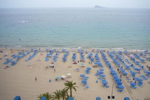 Las Palmeras III- Fincas Arena, Benidorm – Bijgewerkte prijzen ...