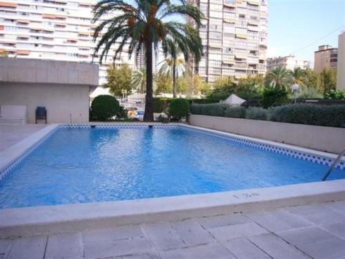 Torre Levante - Fincas Arena