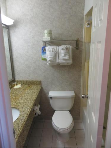 Salle de bains dans l'établissement Days Inn by Wyndham Los Angeles Stadium Area LAX