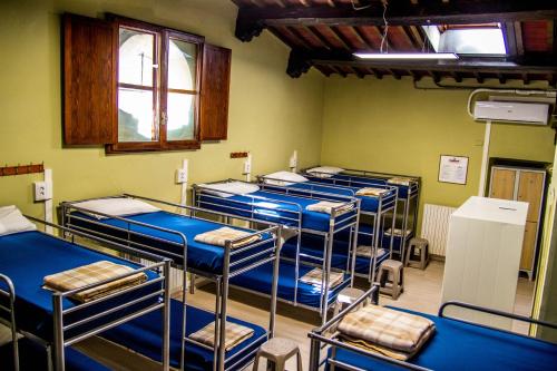 a group of bunk beds in a room at Hostel Santa Monaca in Florence
