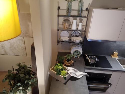 a small kitchen with a sink and some plants at Ihr neuer Lieblingsplatz in Meran in Merano