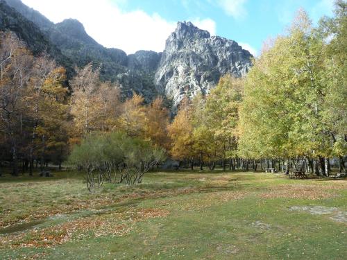 a field with trees and a mountain in the background at Hotel Eurosol Seia Camelo in Seia
