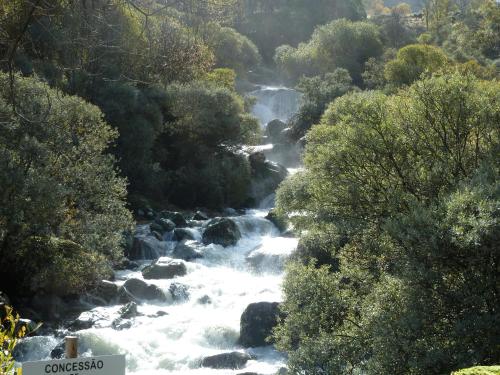 a river flowing through a forest with trees at Hotel Eurosol Seia Camelo in Seia