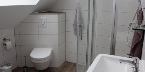 a bathroom with a toilet and a shower and a sink at Schünenbusch in Minden