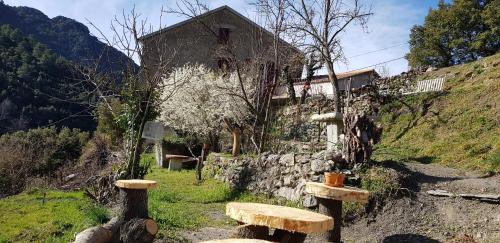 Gallery image of camping l'agrottu au cœur de la corse restaurant creperie in Santa-Lucia-di-Mercurio