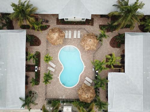 an overhead view of a swimming pool in a resort at Twin Palms at Siesta in Siesta Key