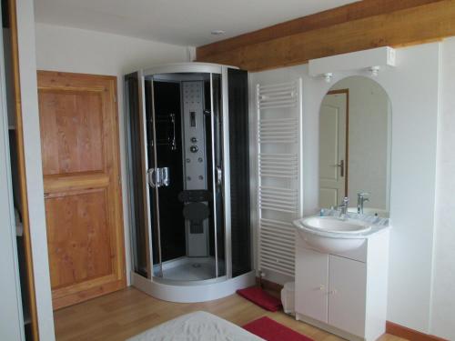 ein Bad mit einer Dusche, einem Waschbecken und einem Spiegel in der Unterkunft Périgord Curiosités in Coux-et-Bigaroque