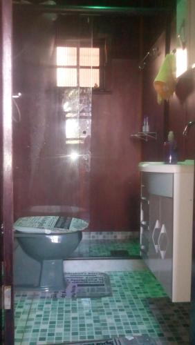 a bathroom with a shower and a toilet at Chalé Linda Vista 5 min. do Centro in Nova Friburgo