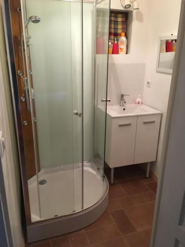a bathroom with a shower and a sink at La Luterne in Villaines-les-Prévôtes