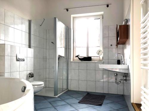Un baño con ducha, inodoro y lavabo. en Ferienwohnung Schleusenhaus Hameln, en Hameln