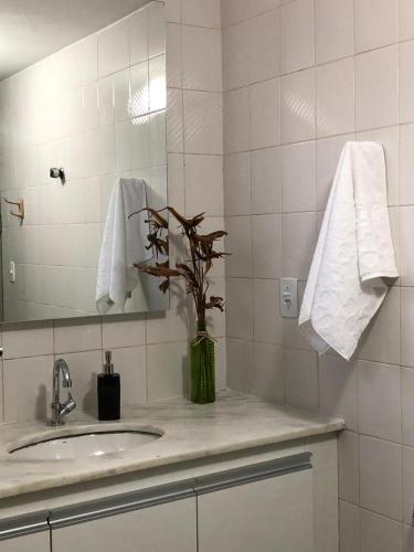 a bathroom with a sink and a vase with a plant at 2 min do mar Ponta Verde in Maceió