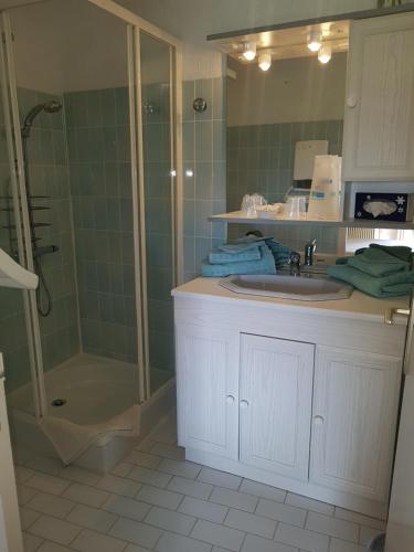 a bathroom with a shower and a sink at Domaine de Sonnard in Castéra-Verduzan