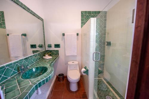 a bathroom with a sink and a toilet and a shower at Hotel Camino Antiguo in Guanajuato