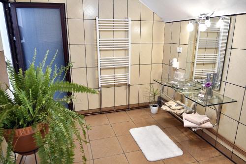 a bathroom with a mirror and a table and plants at Upstairs Residence in Târgu Jiu