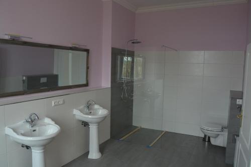 Bilik mandi di Gutshaus Redentin