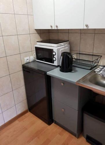 eine Mikrowelle, die auf einer Küchentheke steht in der Unterkunft Karoso Apartment in Klaipėda