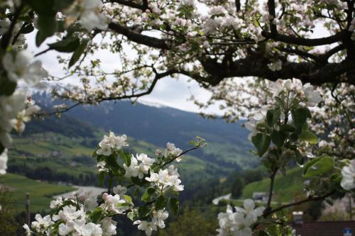 Φωτογραφία από το άλμπουμ του Stolznhof σε Schonberg im Stubaital