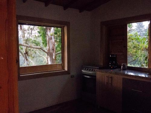 a kitchen with two windows and a sink and a stove at Eco Hotel El Columpio in Salento