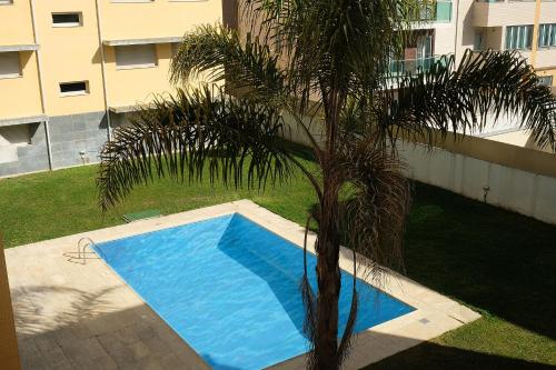 a palm tree next to a small blue swimming pool at Marisol Ocean View in Praia da Barra