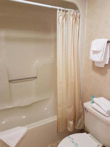 a bathroom with a white toilet and a shower at Swiss Village Inn in Eureka Springs