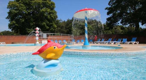 a swimming pool with a toy in the water at Poppy at Oakdene Forest Park in Ringwood